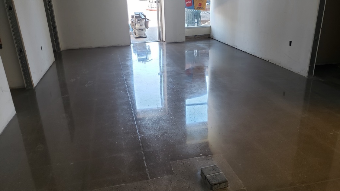Stained polished concrete floor in a small retail space, daylight coming through the back windows